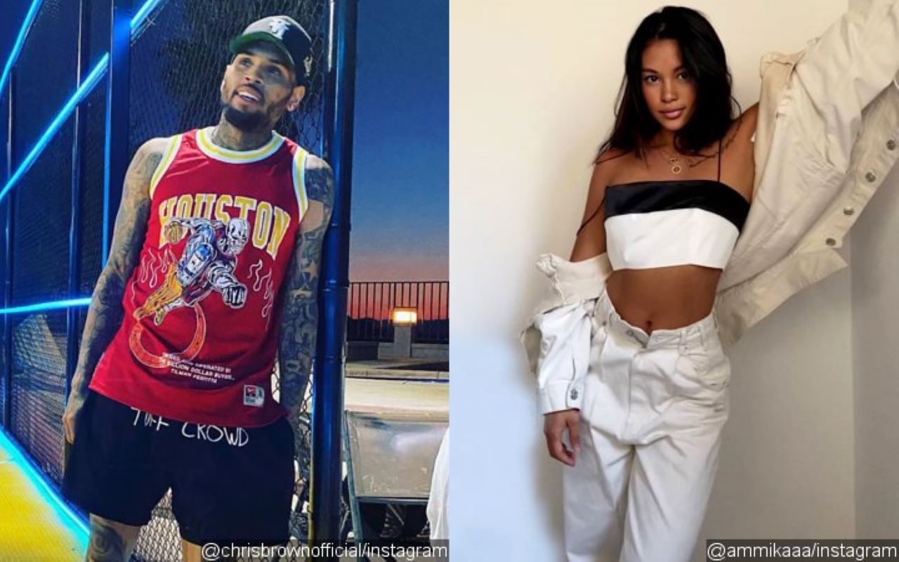 Chris Brown's BM Ammika Harris Fires Back at Troll Criticizing Their Son's Look on His Birthday