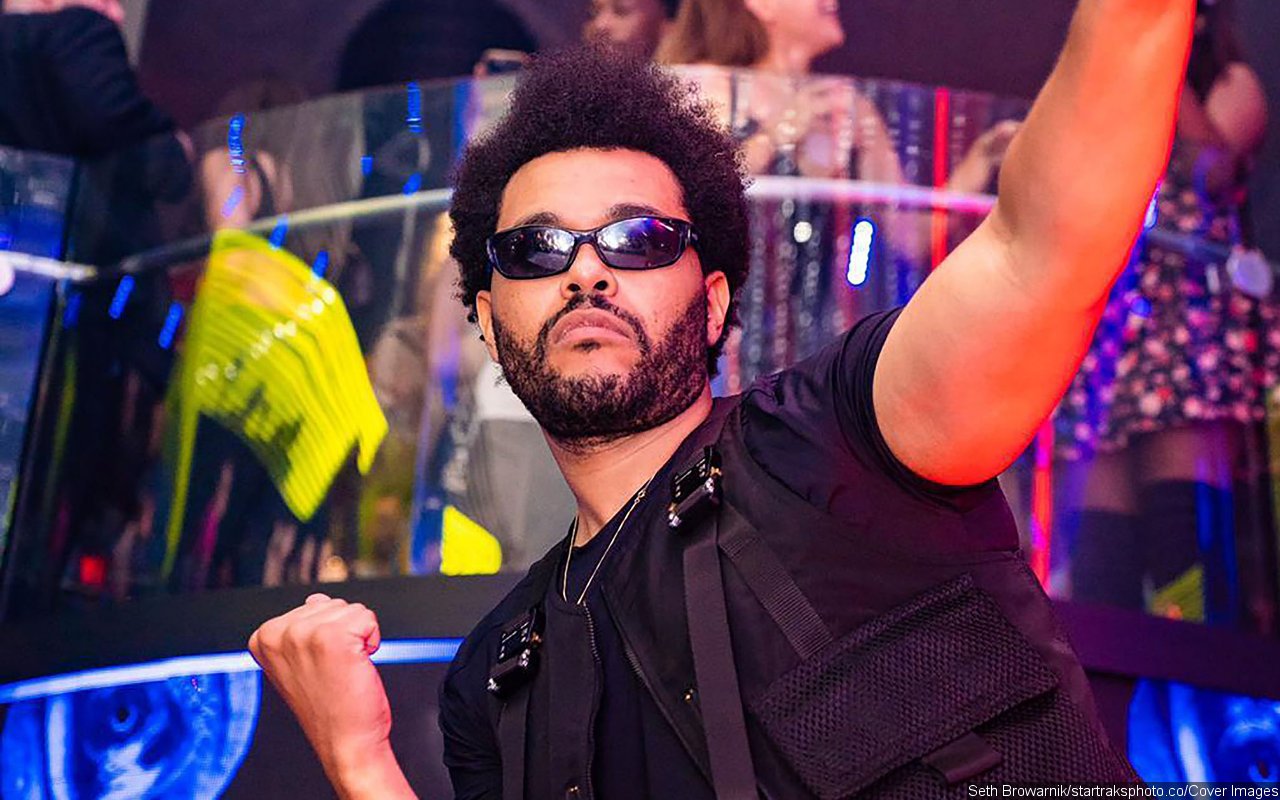 The Weeknd Drives Fans Crazy After Sharing Cute Pics of Him Babysitting a Kitten - Vimarsana News