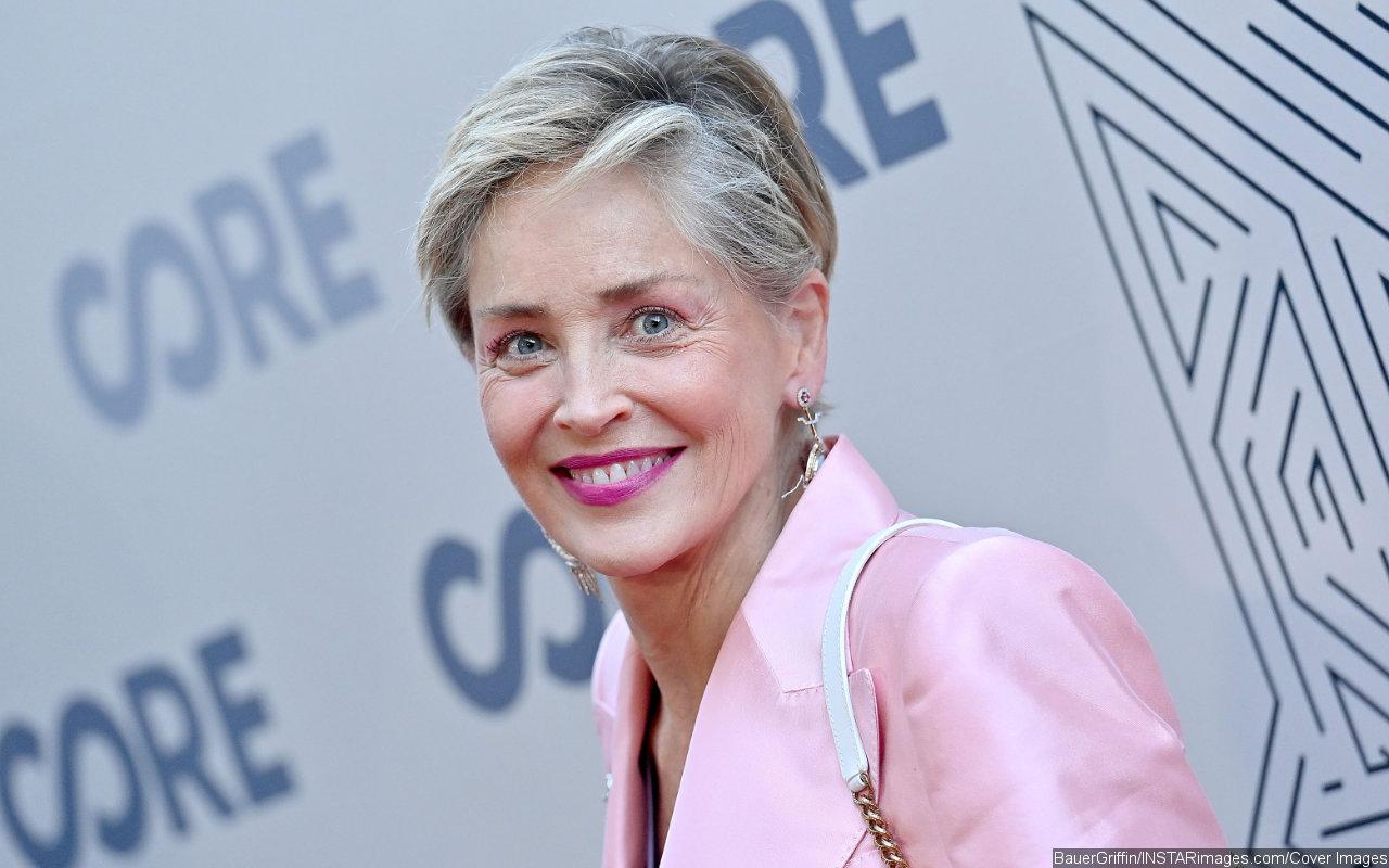 Sharon Stone Blames AIDS Charity Work for 'Destroying' Her Career