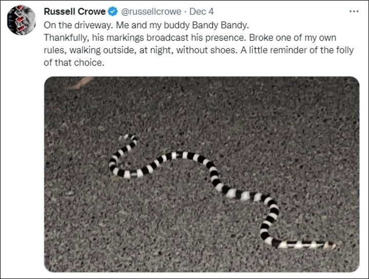 Russell Crowe has a close encounter with a snake