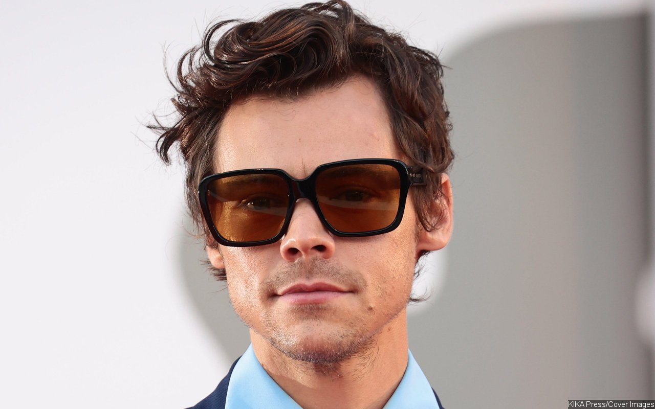 Harry Styles' Merchandise Truck Hijacked by Gunmen Ahead of 'Love on Tour' Show in Brazil - Vimarsana News