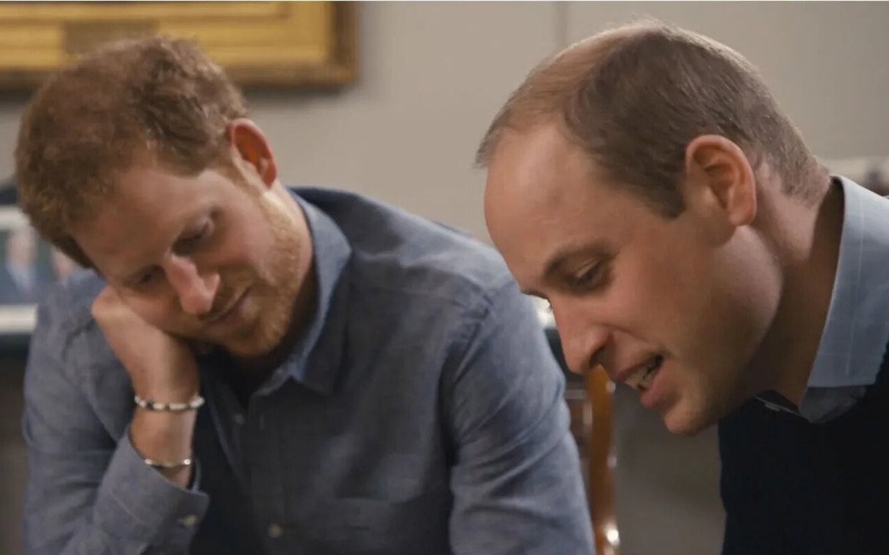 Prince Harry: Royal Family Are Happy to Lie to Protect William but
