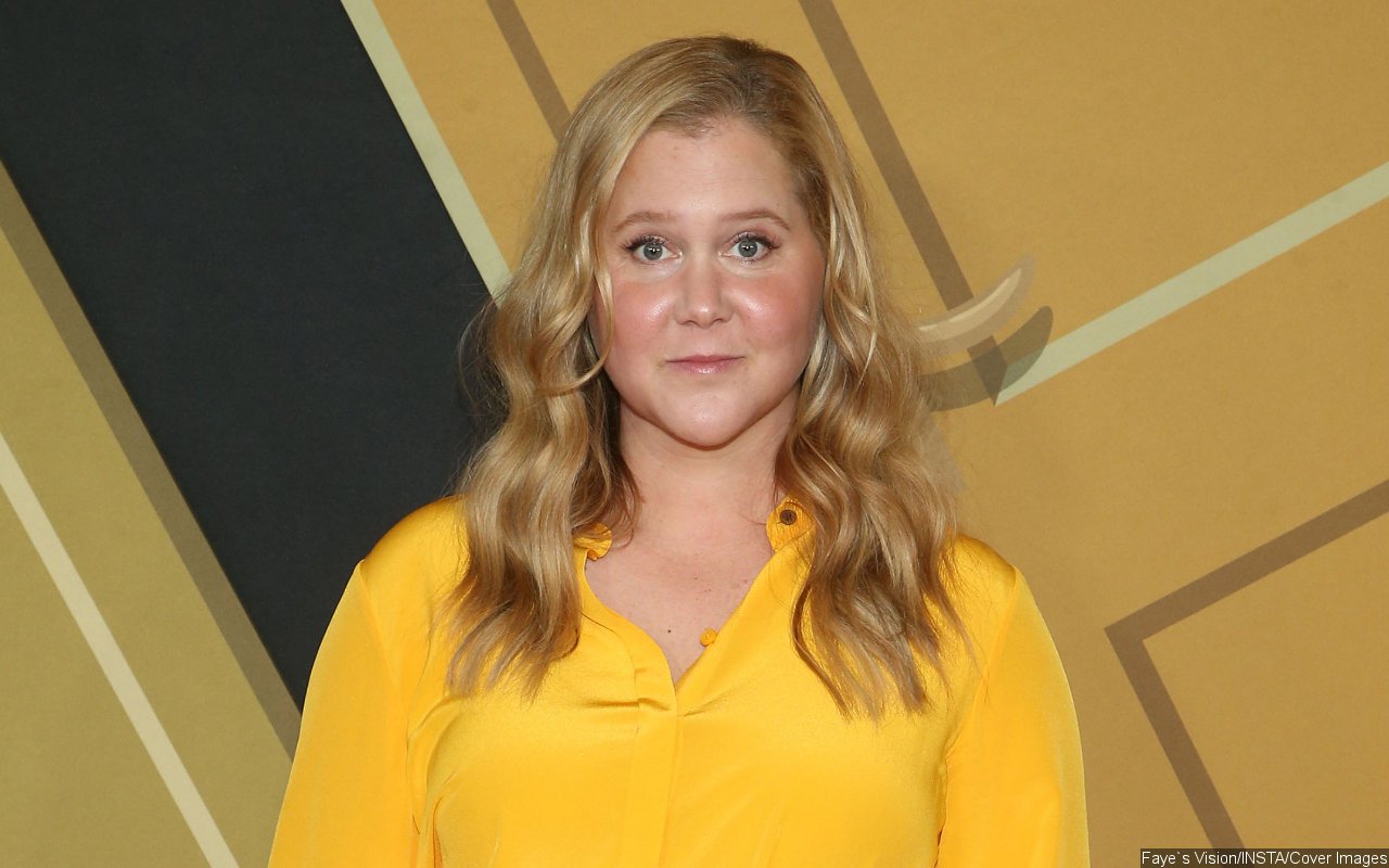 Amy Schumer Gets Mixed Reactions After Reflecting on 'Lonely' Battle With Painful Endometriosis