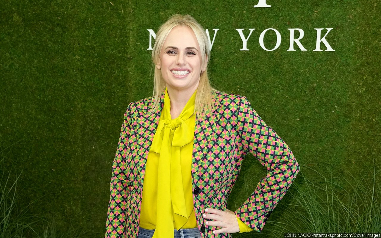 Rebel Wilson 'Overhauled' Her Life to Have a Kid