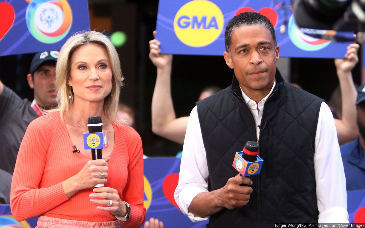 Amy Robach and T.J. Holmes Hit the Brakes on Their Romance Amid ABC's Investigation