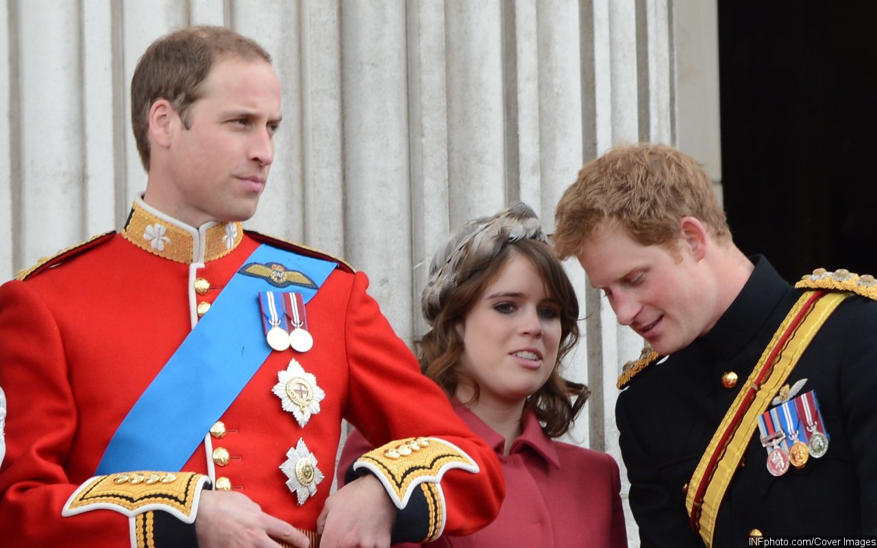 Report: Princess Eugenie Hopes to Reunite Prince Harry and Prince William Amid Their Feud