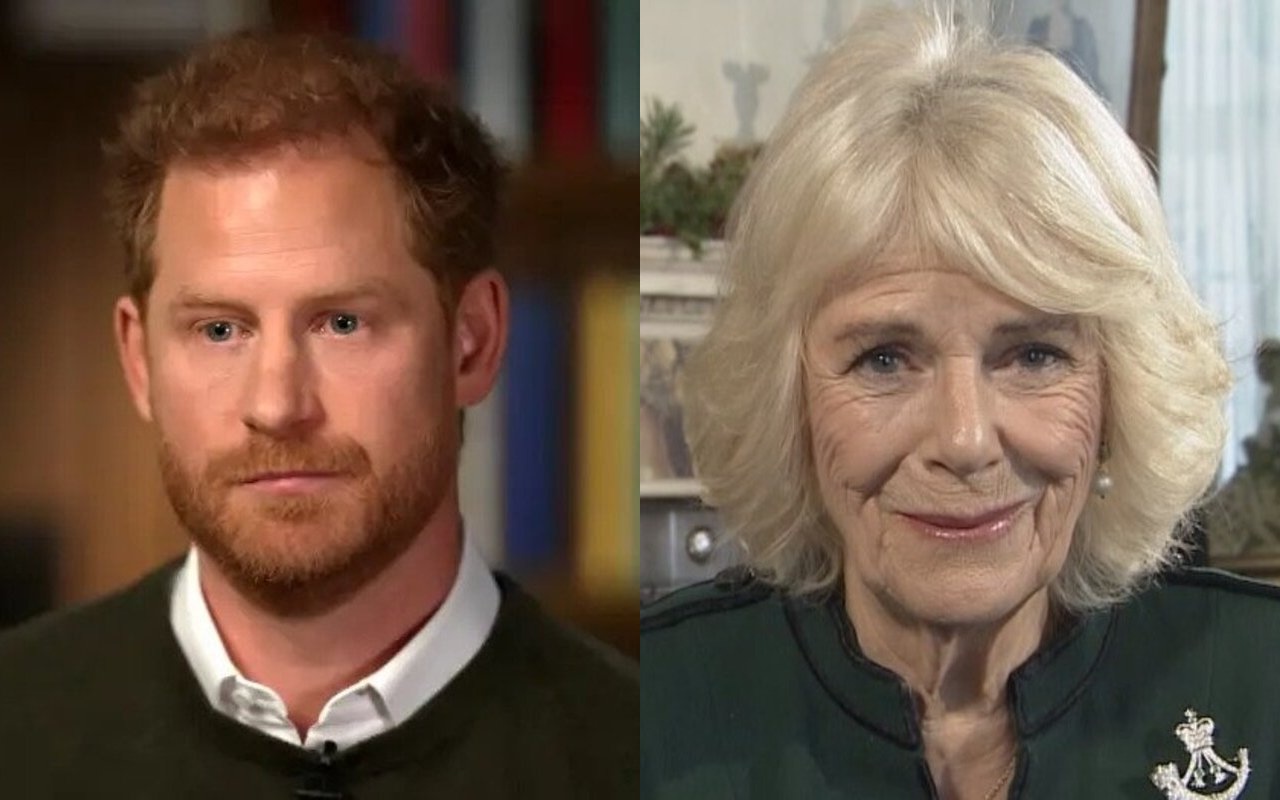 Prince Harry Labels Camilla Dangerous 'Villain' Who 'Traded Information' to Rehabilitate Her Image