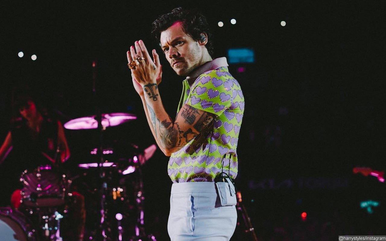 Harry Styles Slaps Unauthorized Online Sellers With Lawsuit Over Fake Merchandise