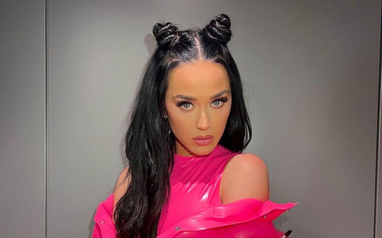Katy Perry Determined to Be 'Grandma Pop Star' When She's Old