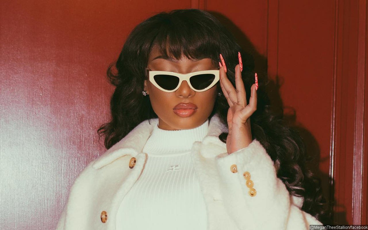 Report Megan Thee Stallion May Be Pregnant With First Child
