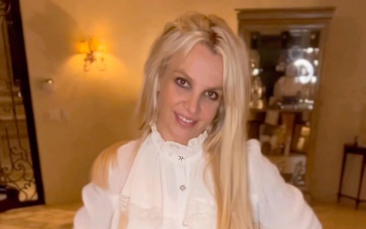 Britney Spears Insists She's 'Not Having a Breakdown' in First Post Since Returning to Instagram