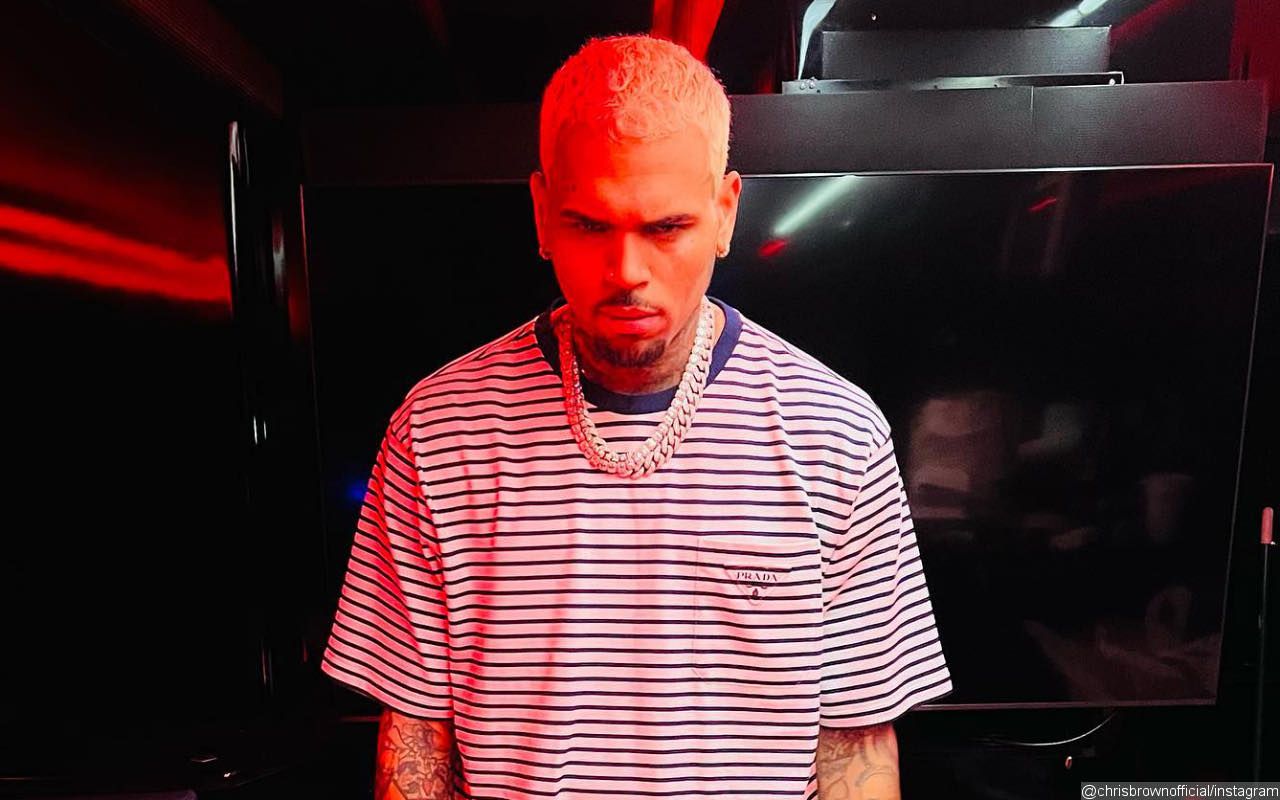 Fans Lust After Chris Brown After He Gives One Fan Lap Dance Onstage