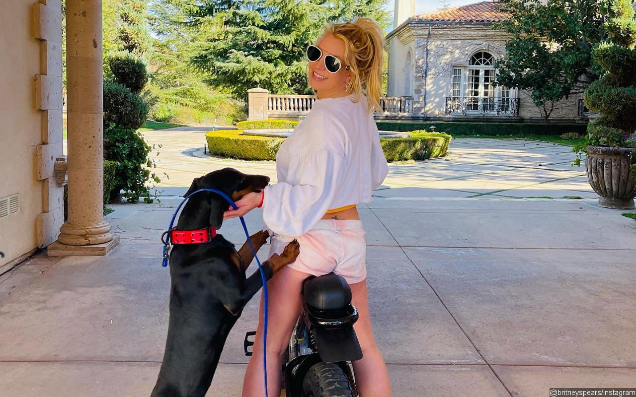 Britney Spears Gets a Warning After Her Dog Bites Elderly Man