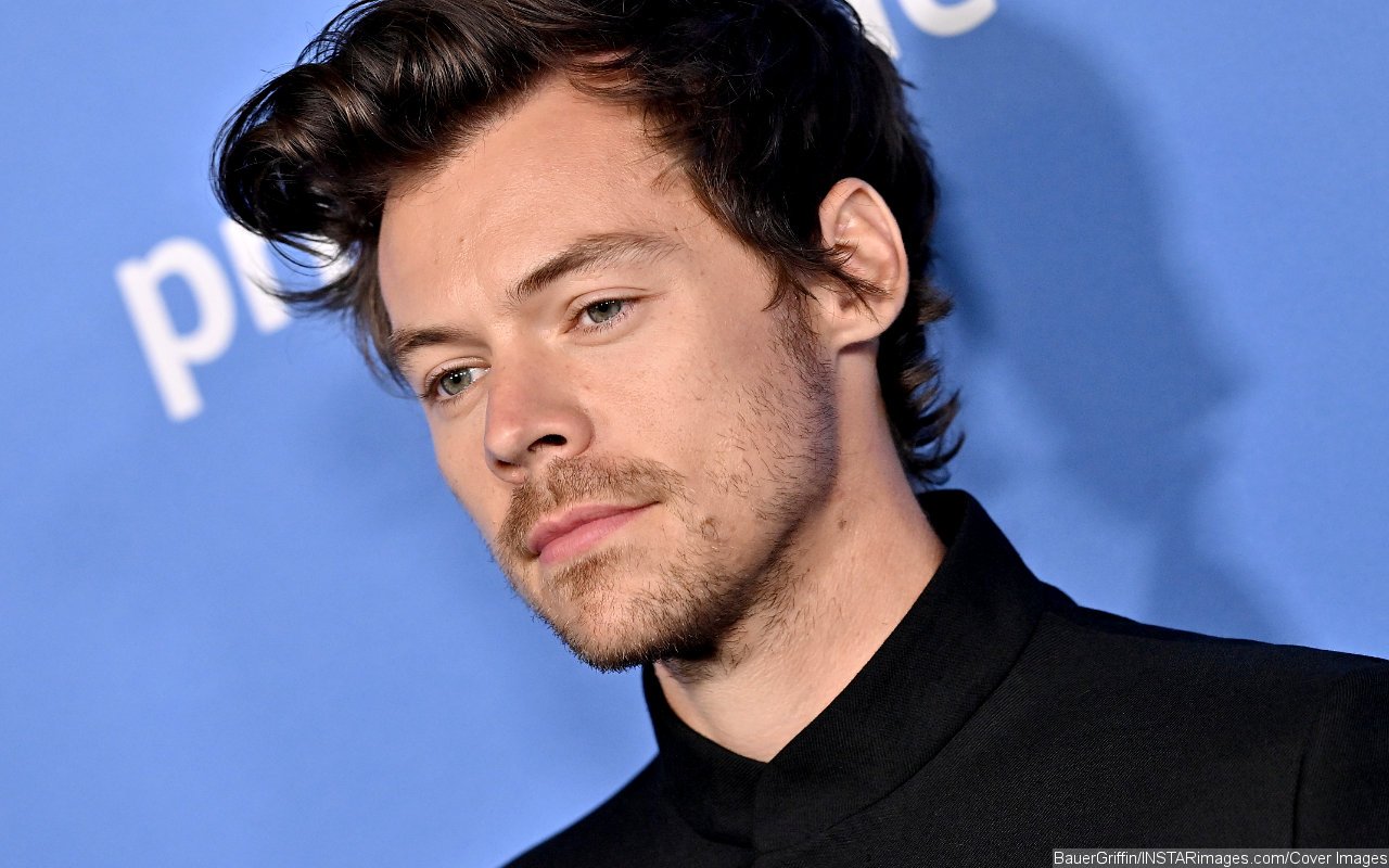Harry Styles Obliged to Provide Personal Information for New Zealand Census - Vimarsana News