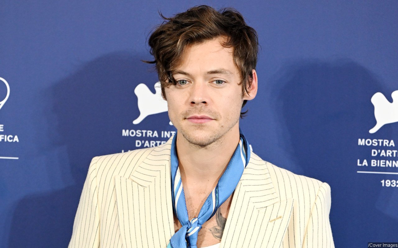 Harry Styles Reportedly Dating This Mystery Girl After Olivia Wilde Breakup