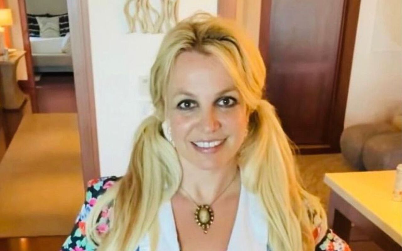 Britney Spears' Family Allegedly Plan Intervention, Label Her Behaviors 'Alarming'