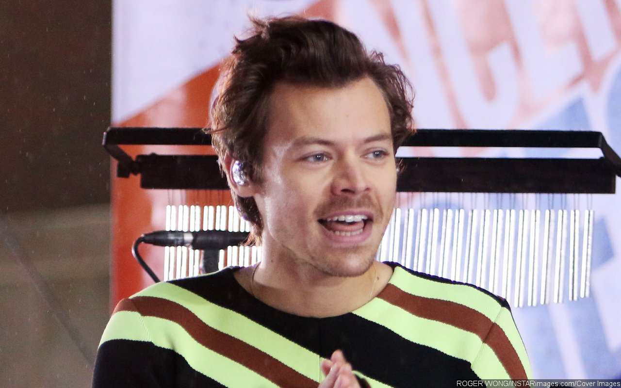 Harry Styles Breaks Silence After Leaving Fans Freak Out With One Direction T-Shirt Selfie