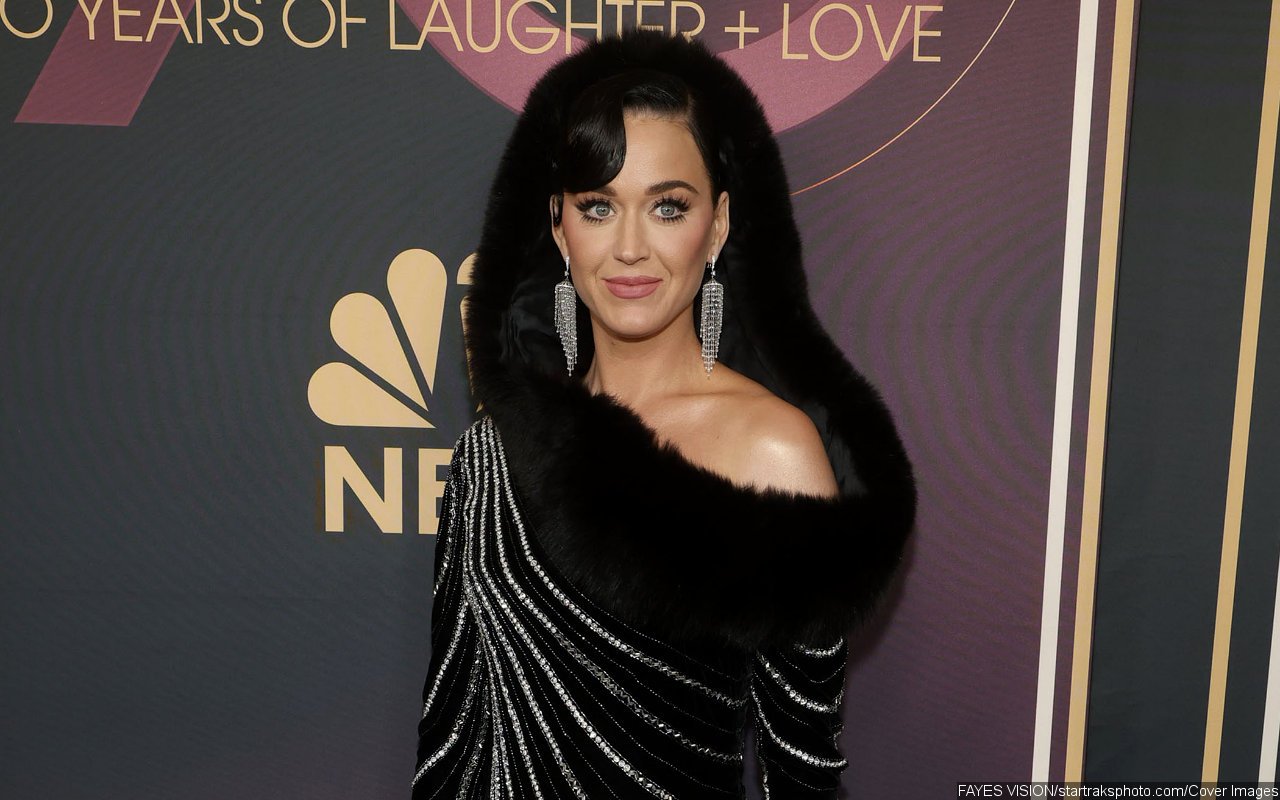 Katy Perry Under Fire for 'Mom-Shaming' 25-Year-Old 'American Idol ...