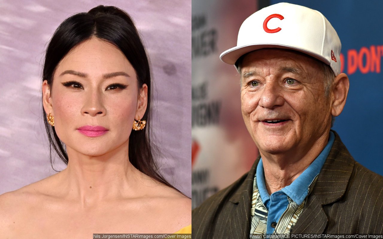 Lucy Liu Doesn't Feel 'Validated' to Hear Others' Bad Experiences With Bill Murray