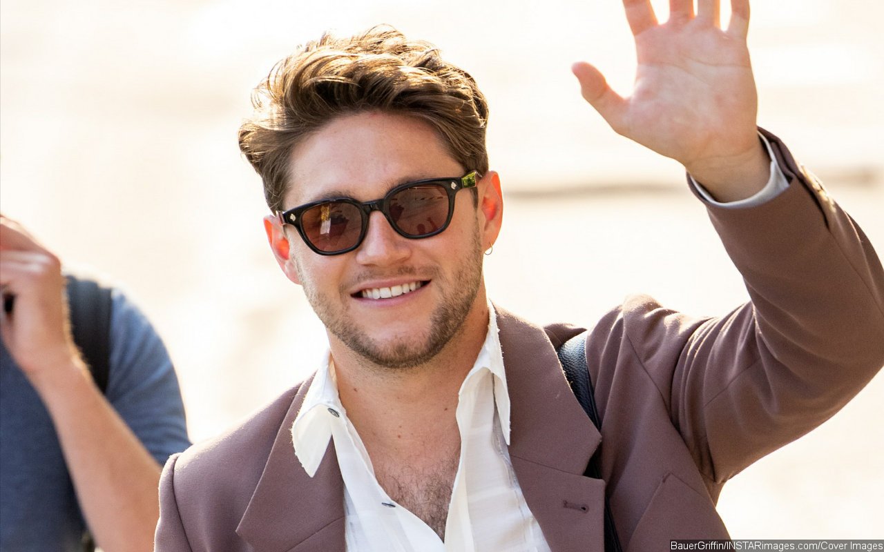 Niall Horan Says He's So Used to Getting Asked for Selfies at Toilet