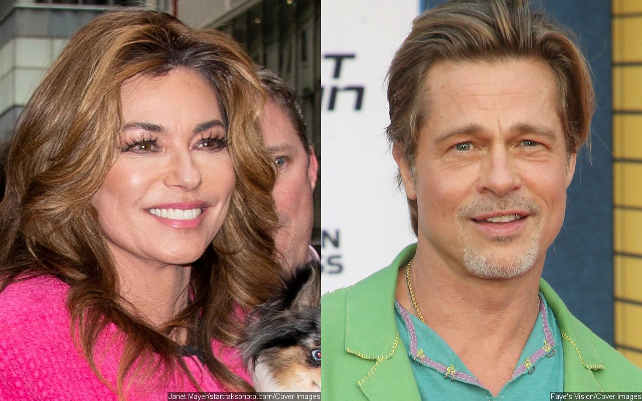 Shania Twain Thinks Brad Pitt Is Avoiding Her After She Sings About Him