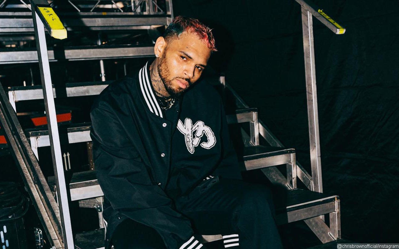 Artist of the Week: Chris Brown