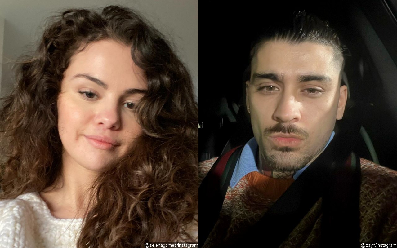 Selena Gomez and Zayn Malik's Assistant Seen Having Dinner Together Prior to Singer's Romance Rumors