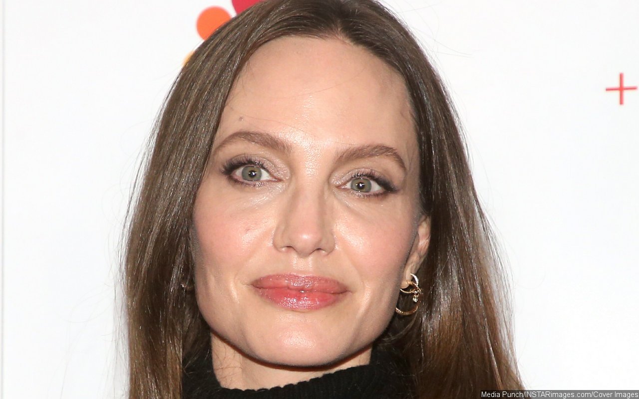 Report: Angelina Jolie Set to Start Clothing and Jewelry Business