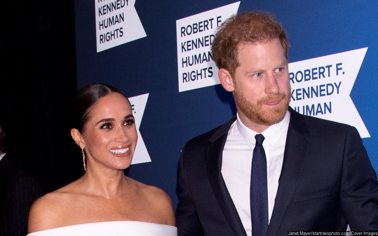 Details of Prince Harry and Meghan Markle's Archewell Foundations Leaked Online