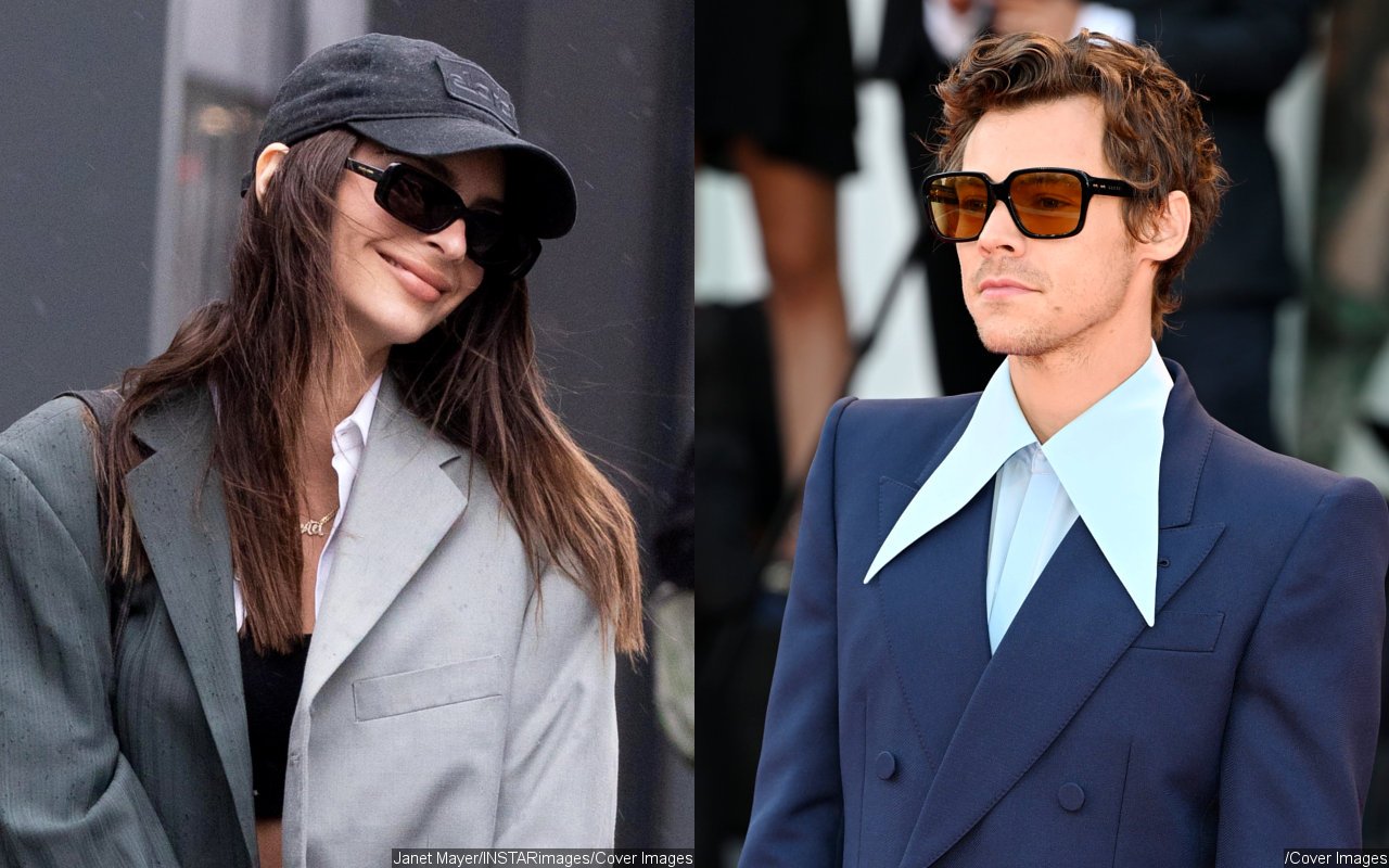 Emily Ratajkowski Trolled After Posting Japan Photos: Where's Harry Styles? 