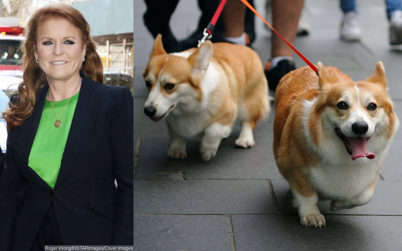 Sarah Ferguson Claims She's Not 'Weird' for Thinking Queen's Corgis Sense the Late Monarch's Ghost