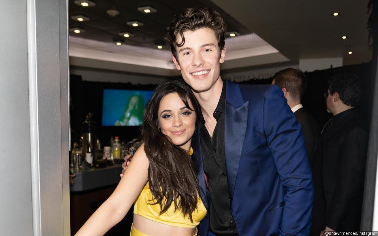 Shawn Mendes and Camila Cabello Caught Locking Lips at Coachella One Year After Breakup