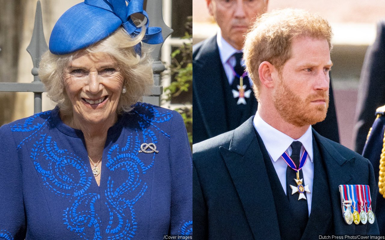 Queen Consort Camilla 'Hurt' After Prince Harry Calls Her 'Villain' in 'Spare'