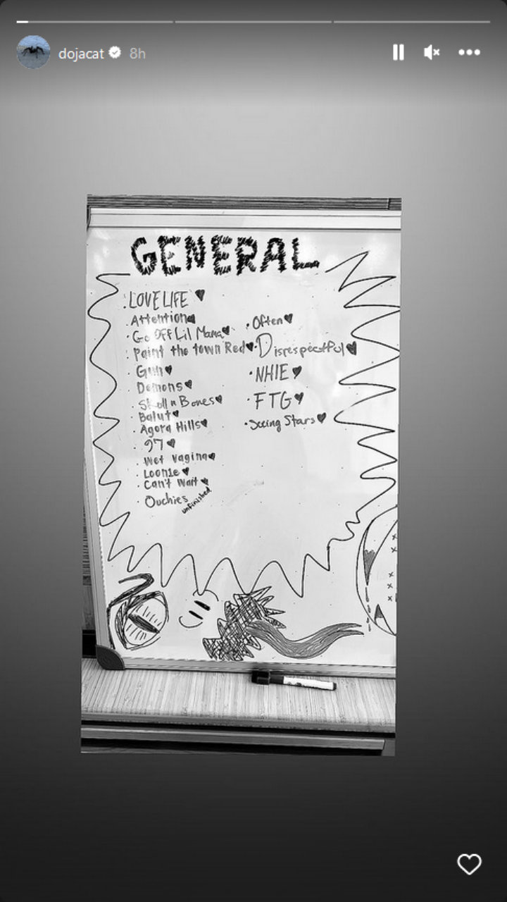 Doja Cat's IG Story