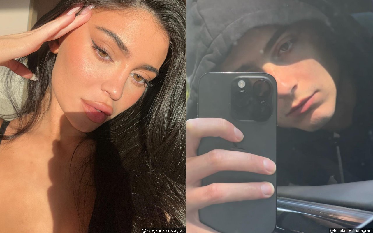Kylie Jenner and Timothee Chalamet Enjoy 'Casual, New, And Exciting' Relationship