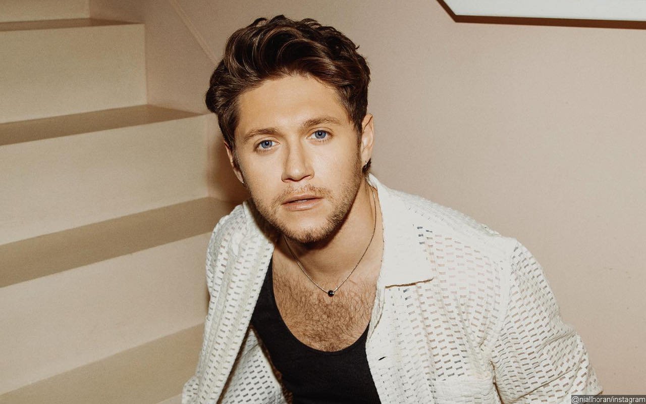 Niall Horan Left Cringing at Online Clips From His Early Career