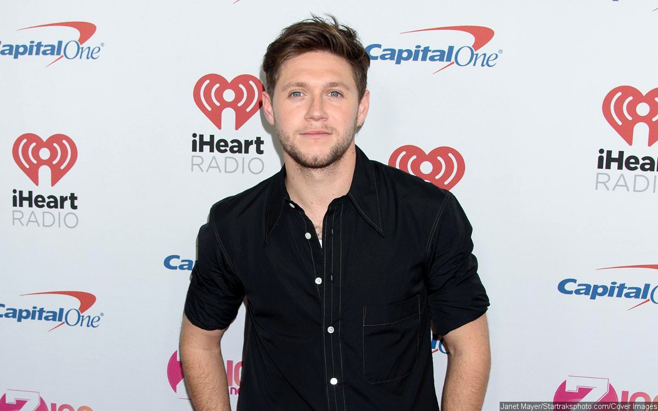 Niall Horan Once Went to White House in Wee Hours to Escape Fans' Attention