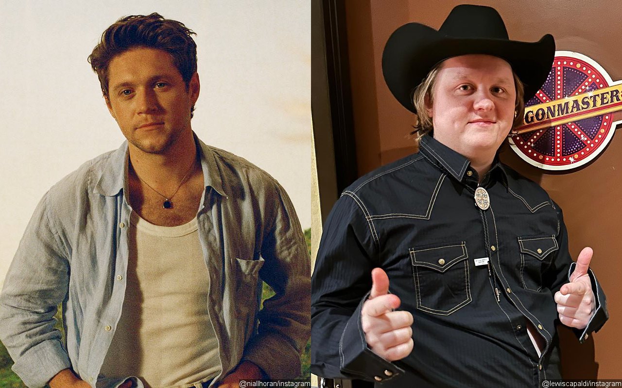 Niall Horan Calls Out Lewis Capaldi for Lying About Doing His Own Laundry