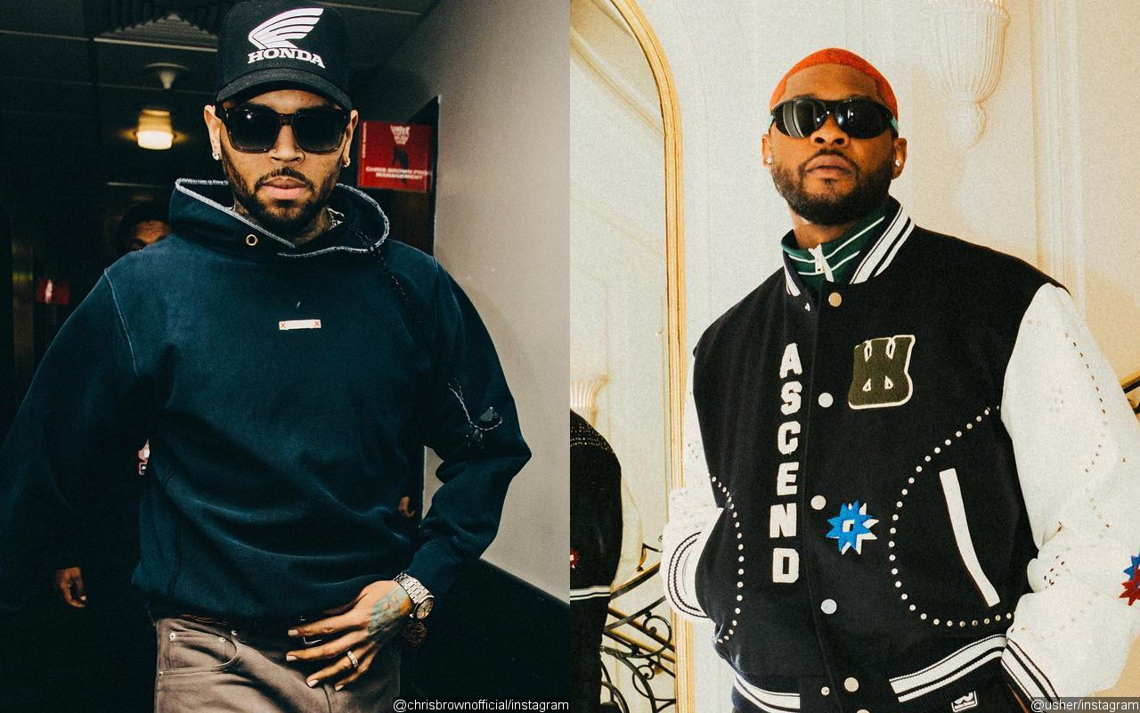 Chris Brown and Usher Perform at Love and Friends Festival Despite Alleged Altercation