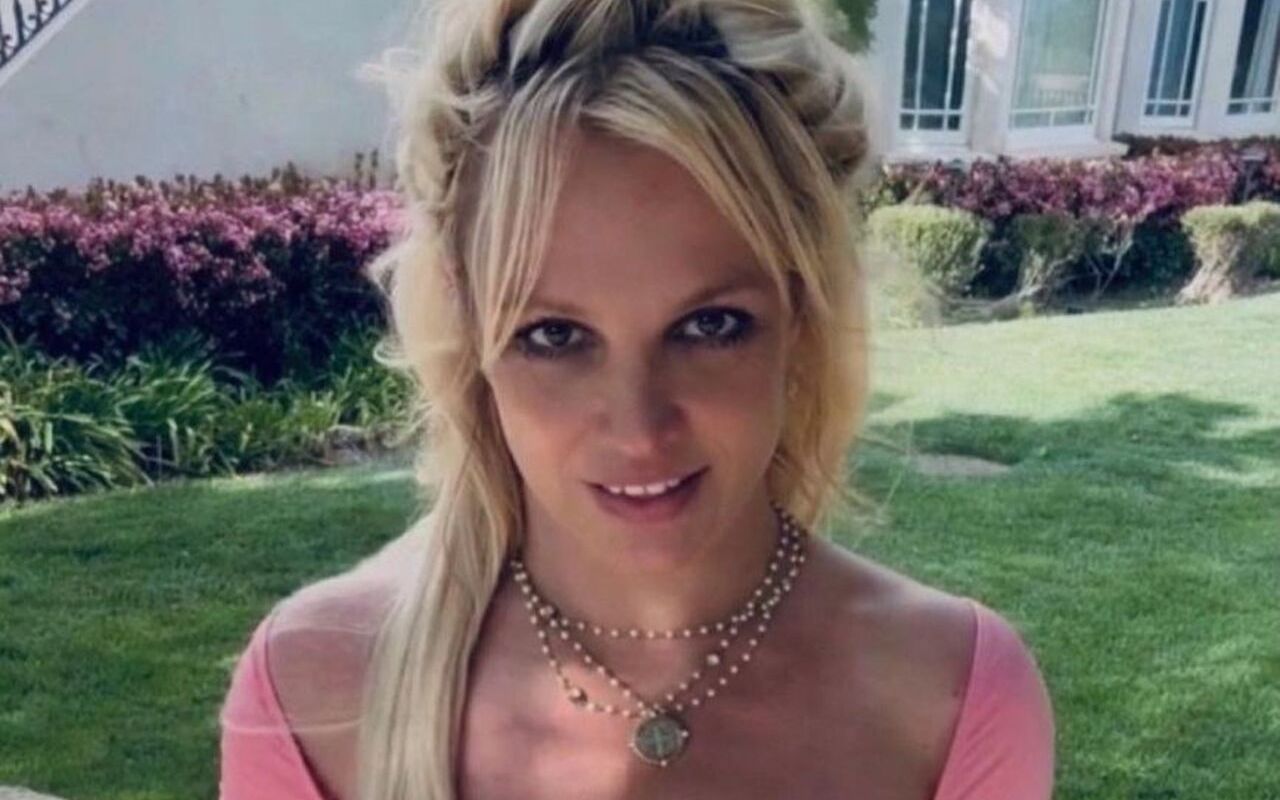 Britney Spears 'Remains Survivor' Despite 'Ups and Downs' After Conservatorship Ended