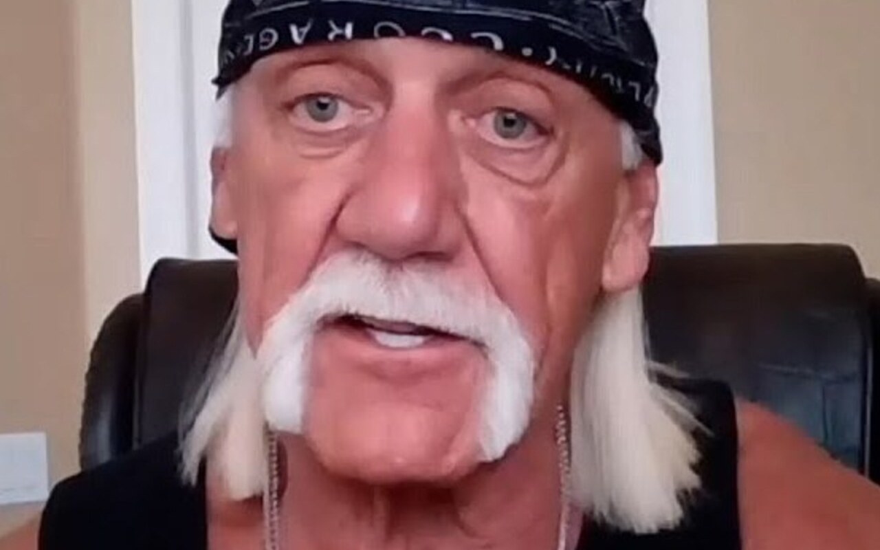 Hulk Hogan Considers His Racism Scandal as Small Obstacle in His Career