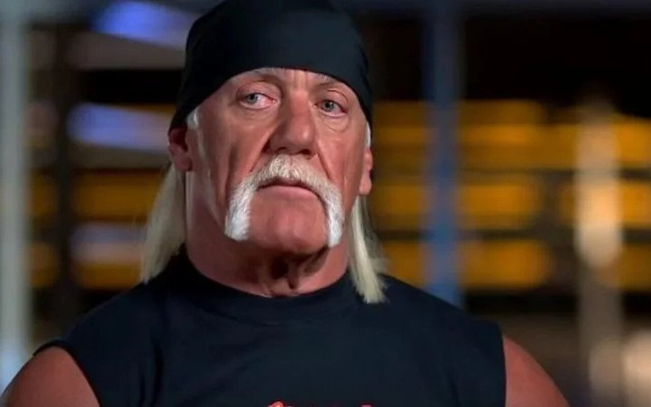 Hulk Hogan Recalls 'Rough' Life as Rocker Before Launching Wrestling Career