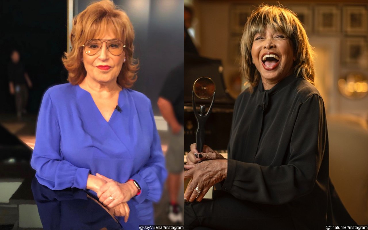 Joy Behar Takes a Dig at Her 'Forced' Firing From 'The View' While Honoring Tina Turner