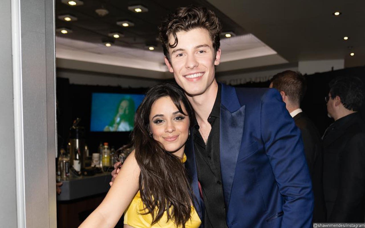 Camila Cabello Gets Handsy With Shawn Mendes at Taylor Swift Concert Amid Reconciliation Rumor