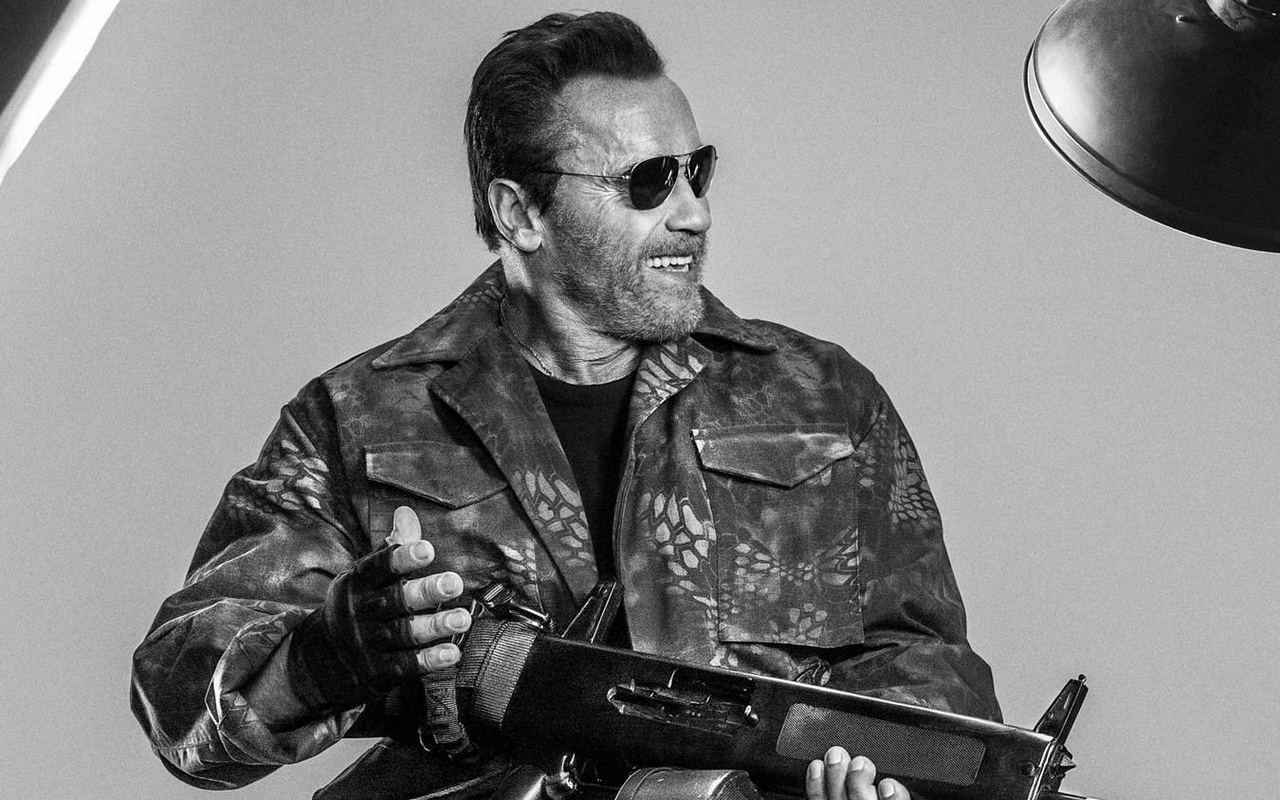 Arnold Schwarzenegger Confirms He Sits Out 'The Expendables 4'