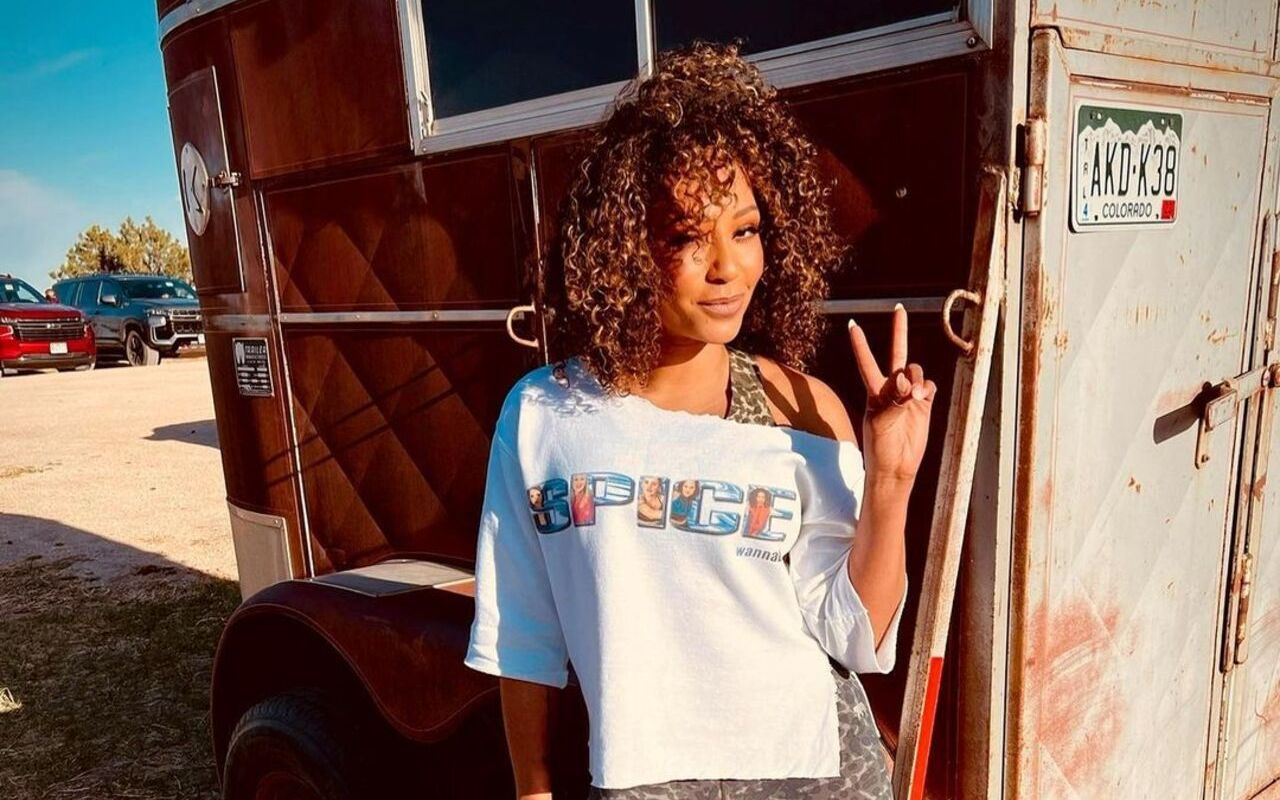 Mel B Still Recovering as She Was Left With Zero Self-Worth After Stephen Belafonte's Alleged Abuse