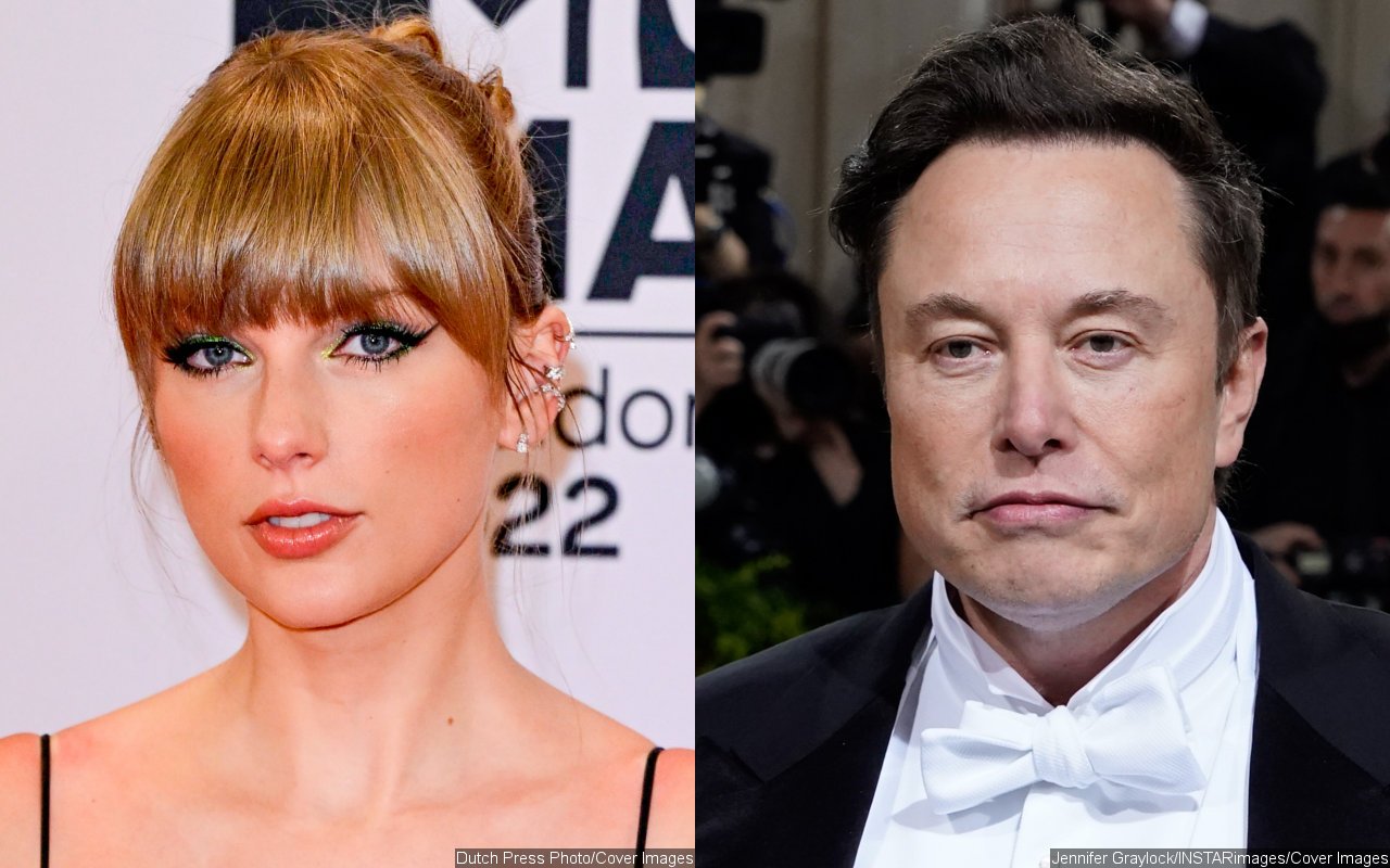 Taylor Swift Fans Fume After Elon Musk Compares Her to 'Napoleon Dynamite in Drag'