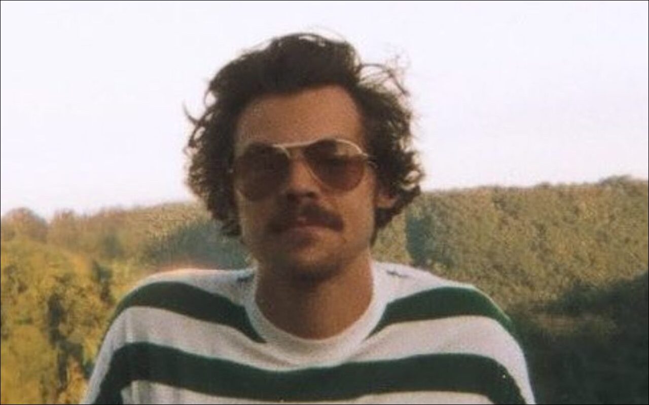 Harry Styles Halted His Show to Help Female Fan Who Fell Over at His Concert