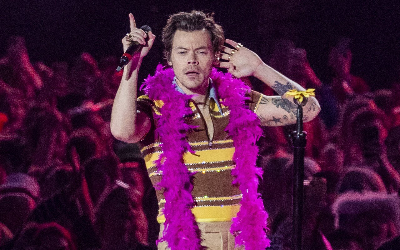 Harry Styles Pauses Concert to Give Pregnant Fan a Bathroom Break - Vimarsana News