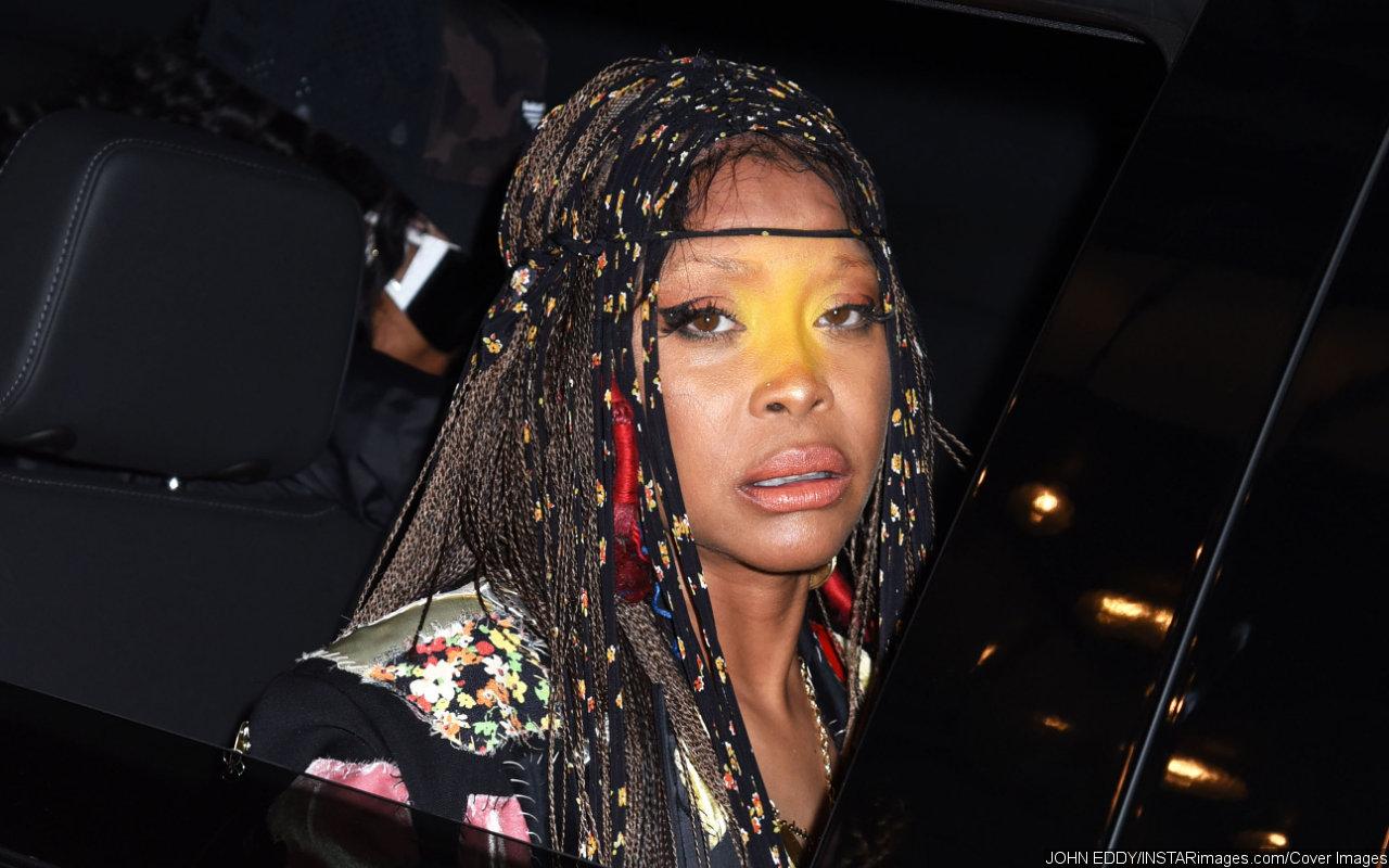 Erykah Badu Confronts 'Rude' Fans for Leaving During Her Performance